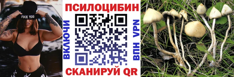 Псилоцибиновые грибы мухоморы  как найти закладки  Алупка 